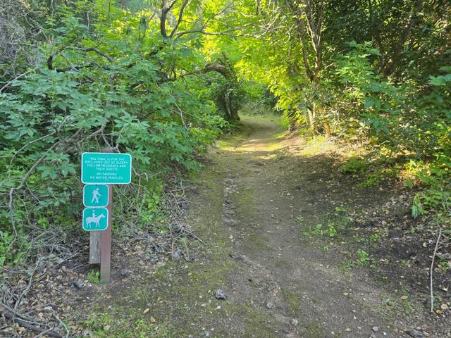 16 SLEEPY HOLLOW DRIVE, Carmel Valley CA: https://media.crmls.org/mediaz/92af29cc-da8f-47b4-999a-b6a5a846bb2f.jpg