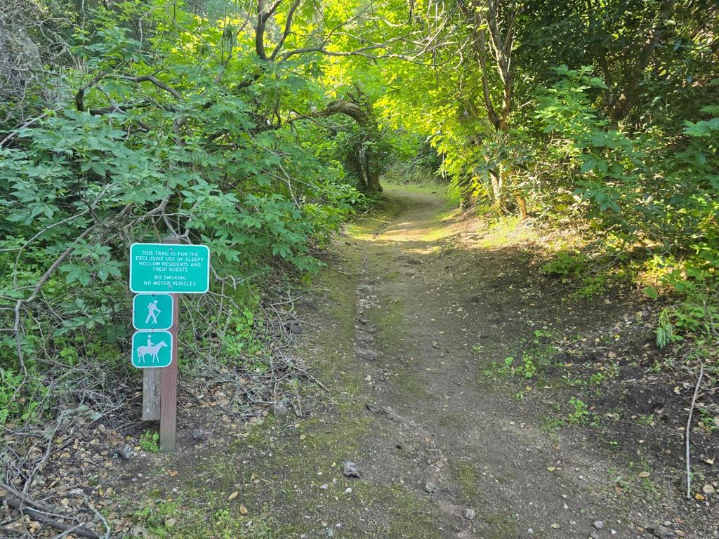 MLS #ML82001285 image #19