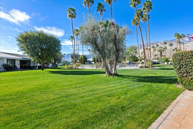 1711 Grand Bahama Drive W, Palm Springs, CA 92264