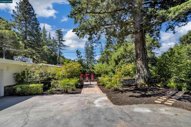 18 Van Tassel Ln, Orinda CA: https://media.crmls.org/mediaz/92ba05bc-0bbb-486c-951c-aaa978ec5b66.jpg