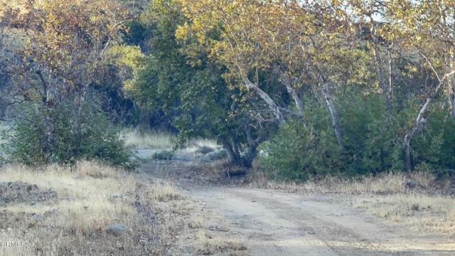 Detail Gallery Image 9 of 21 For 7451 Foothill Rd, –,  CA 93254 - – Beds | – Baths