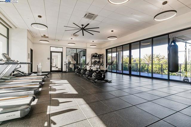 2359 Halogen Cmn, Fremont CA: https://media.crmls.org/mediaz/92d2b4de-c3e1-45a2-9d18-840317998089.jpg