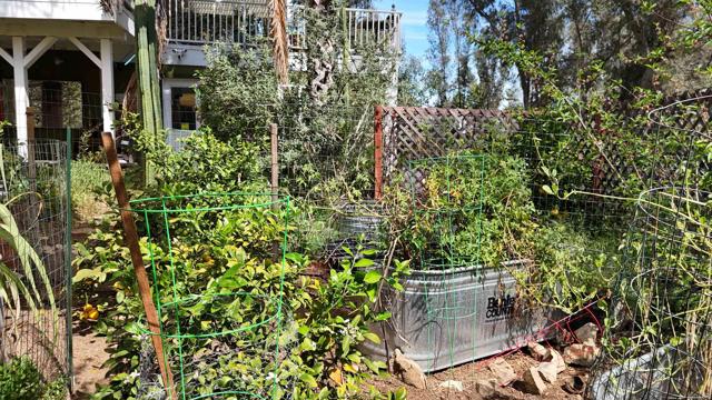 Detail Gallery Image 49 of 59 For 9237 Harmony Grove, Escondido,  CA 92029 - 3 Beds | 2/1 Baths