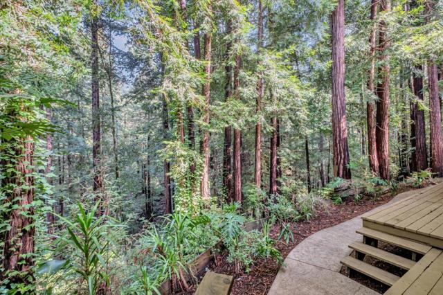 7200 Highway 17, Scotts Valley CA: https://media.crmls.org/mediaz/92d7201b-7a31-4107-a692-32823b8f55f8.jpg