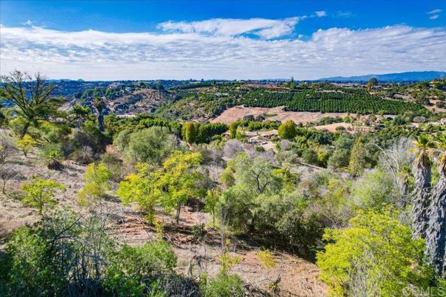 Detail Gallery Image 17 of 21 For 0 Lupine Ln, Fallbrook,  CA 92028 - – Beds | – Baths