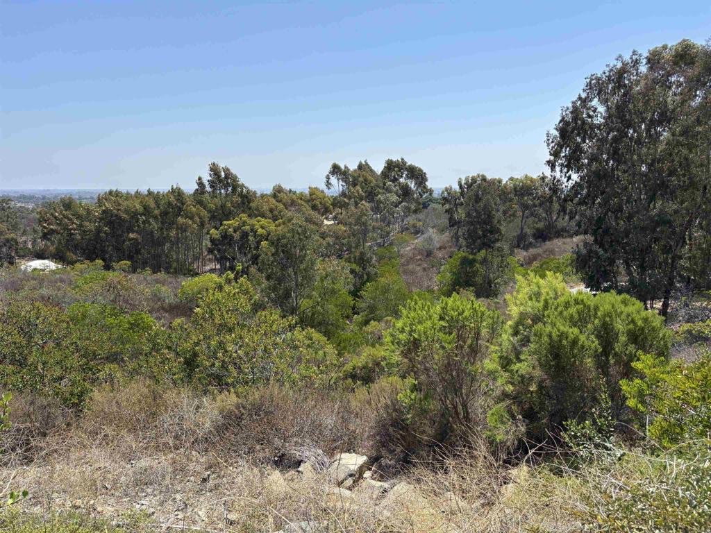 Lone Hill Lane - photo 3