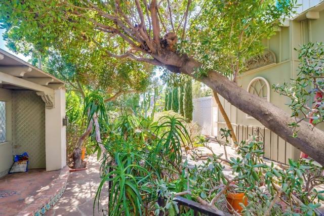 3014 Xenophon St, San Diego CA: https://media.crmls.org/mediaz/92eb72a0-707b-4b8b-8bdb-d8888c843c06.jpg