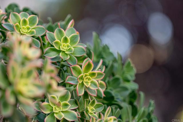 Detail Gallery Image 43 of 48 For 12604 Carmel Country Rd #17,  San Diego,  CA 92130 - 2 Beds | 2/1 Baths