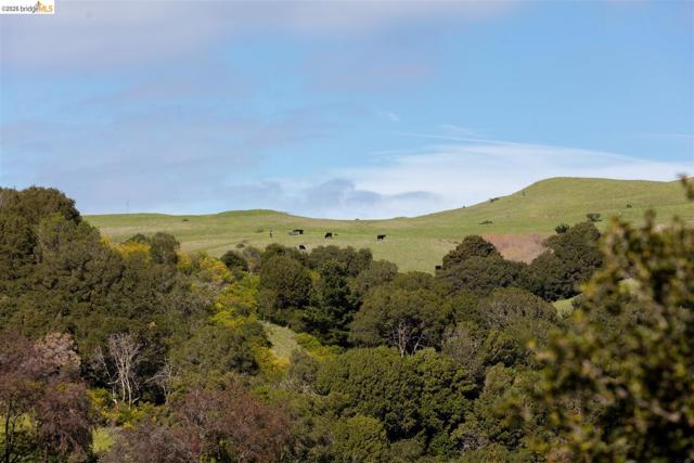 Image 15 of 60 For 6065 Dimm Way