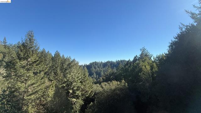 5051 Harrison Grade Rd, Sebastopol CA: https://media.crmls.org/mediaz/930a9630-1b9d-4e47-8afd-d311c85cc32a.jpg