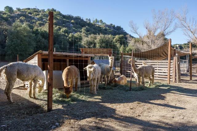 Detail Gallery Image 33 of 64 For 9722 Deer Valley Trl, Descanso,  CA 91916 - 3 Beds | 2 Baths