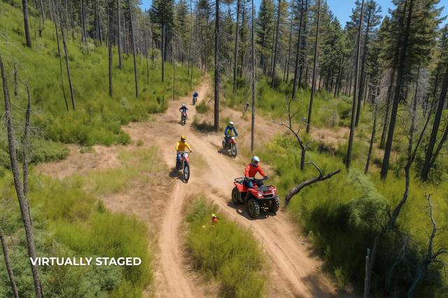 0 & 06 Branson, Boulder Creek CA: https://media.crmls.org/mediaz/9319f6cf-793d-4d4c-9ae7-1a28516c0884.jpg