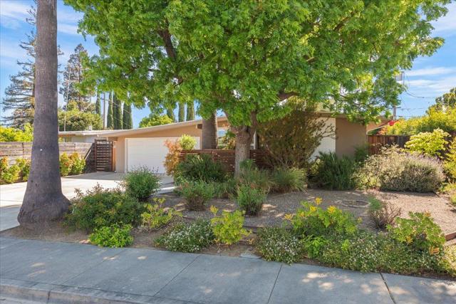 494 Century Drive, Campbell CA: https://media.crmls.org/mediaz/932b5901-9323-4560-b3c5-600cceae4eb4.jpg