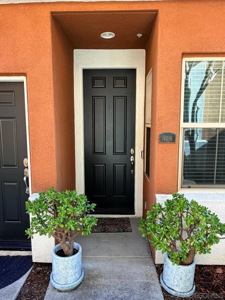 9216 Calmante Lane - photo 5