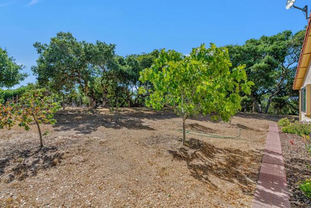 19225 Reavis Way, Salinas CA: https://media.crmls.org/mediaz/9338cdea-82bf-4eb8-9a42-3175232bced9.jpg