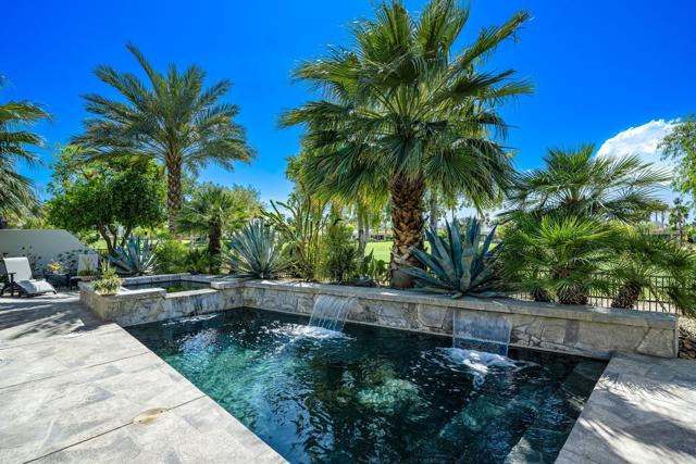 Pool Oasis
