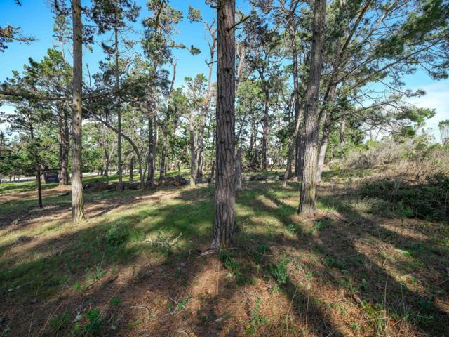 25 Poppy Lane, Pebble Beach CA: https://media.crmls.org/mediaz/9343b24c-50c3-49c6-87e7-8babe43ec947.jpg