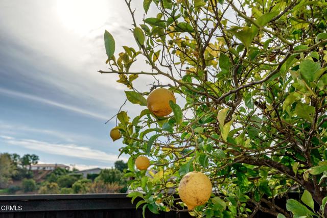 Detail Gallery Image 51 of 56 For 1020 via Cielito, Ventura,  CA 93003 - 4 Beds | 3 Baths