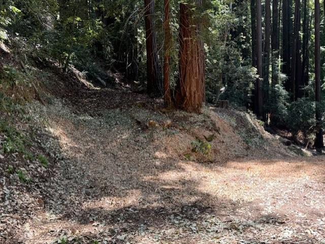 15998 Stetson Road, Los Gatos CA: https://media.crmls.org/mediaz/934ffbb2-dfe8-4c15-b366-8d7d180fa2cb.jpg