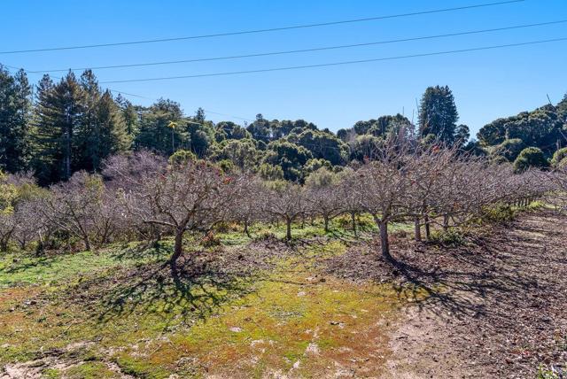 500 Valencia School Road, Aptos CA: https://media.crmls.org/mediaz/9352d50c-fada-4786-ae23-d20a4103a61d.jpg