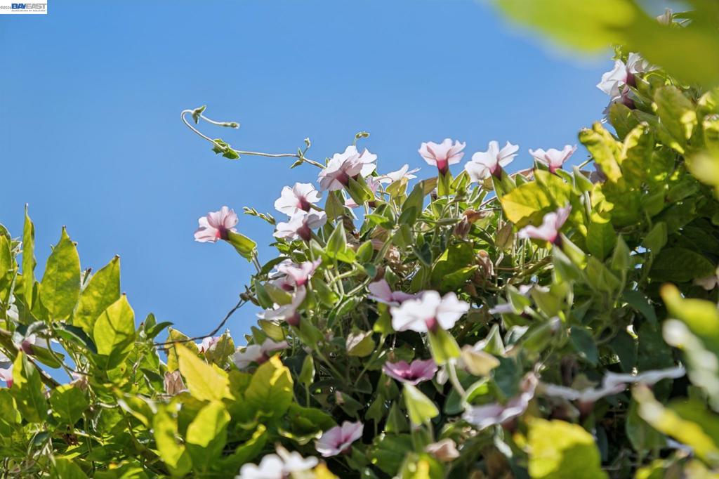 https://media.crmls.org/mediaz/9353e935-836a-4b1c-926b-e7f2c471f0a8.jpg?preset=X-Large