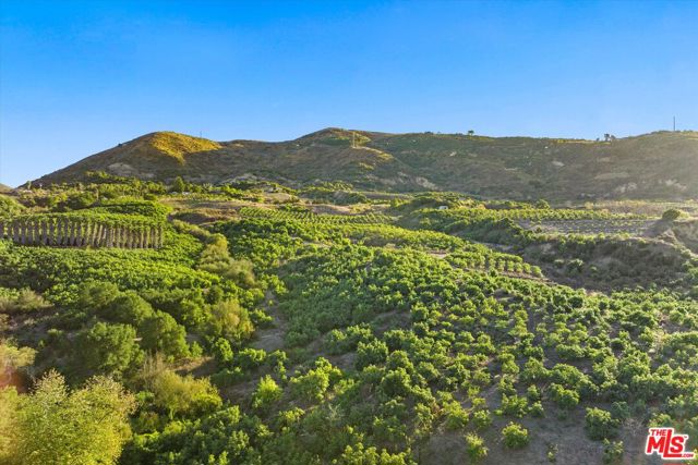 5850 Casitas Pass Road, Ventura CA: https://media.crmls.org/mediaz/935d574a-5347-4210-9e2a-7e7adbfd6084.jpg