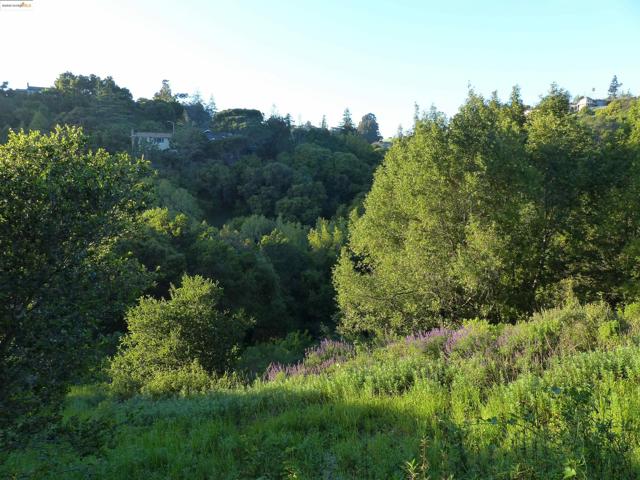 11275 Kerrigan Dr, Oakland CA: https://media.crmls.org/mediaz/93651346-d9ae-40e4-9fd8-6f284f5b20a5.jpg