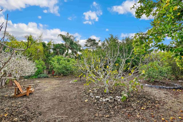 2344 Warmlands Ave, Vista CA: https://media.crmls.org/mediaz/936f64b6-1476-482b-8846-88070085741c.jpg