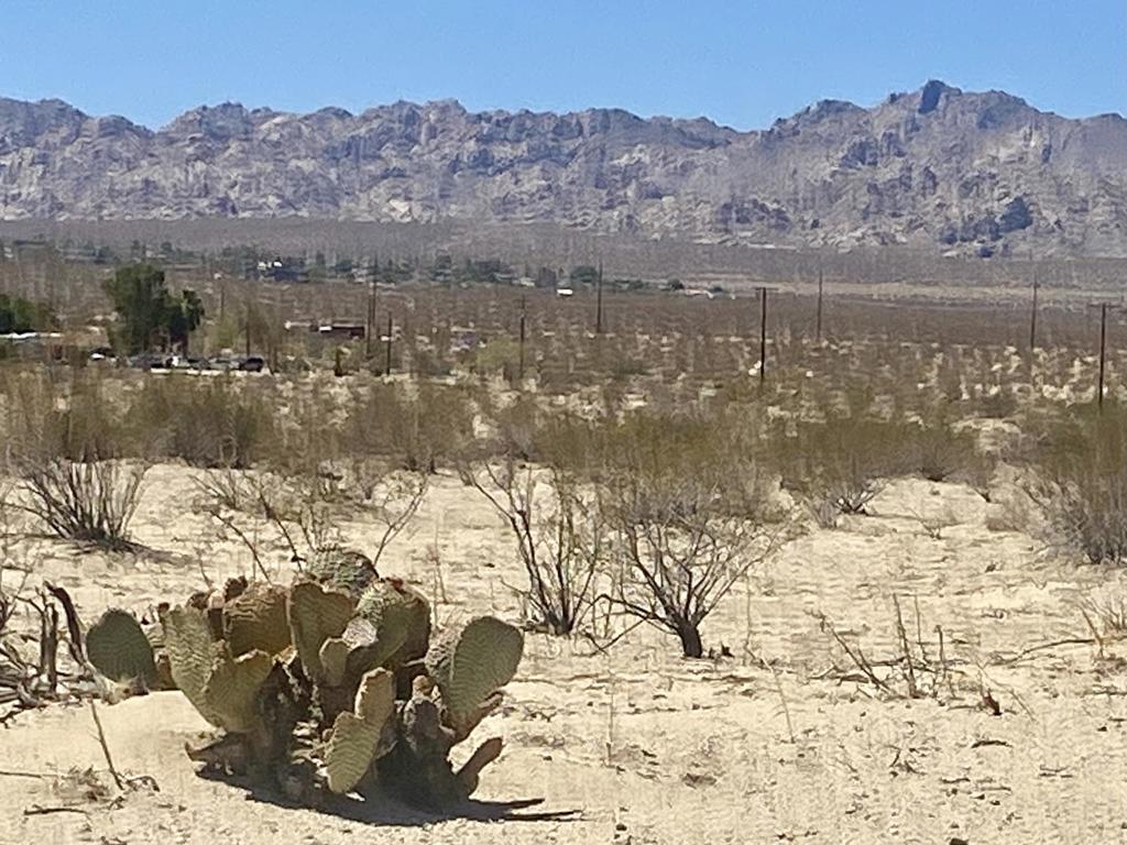 MLS #219133463PS image #14