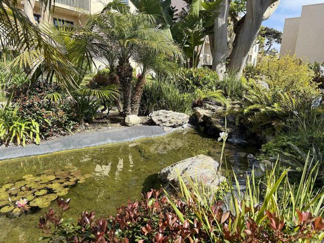 435 S Sierra Avenue, Solana Beach CA: https://media.crmls.org/mediaz/93736b2b-7a33-420a-ae00-45f2d5a17083.jpg