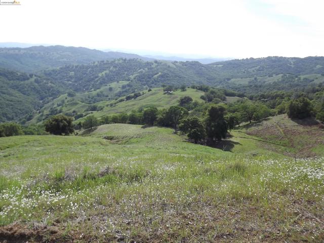 Image 6 of 11 For 39305 Pine Mountain Road