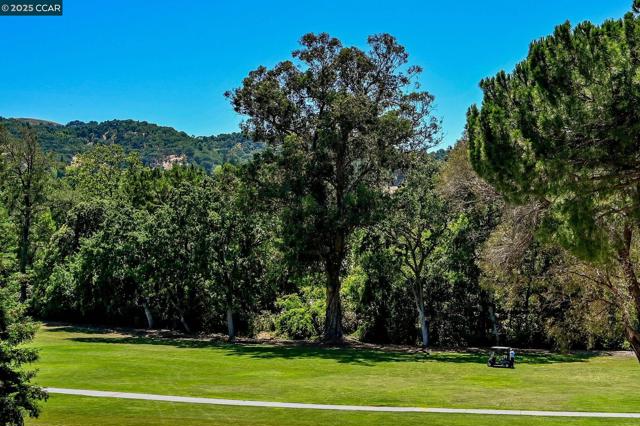 600 Terra California Dr, Walnut Creek CA: https://media.crmls.org/mediaz/93980252-1122-42b2-a5e6-0e3edd568063.jpg