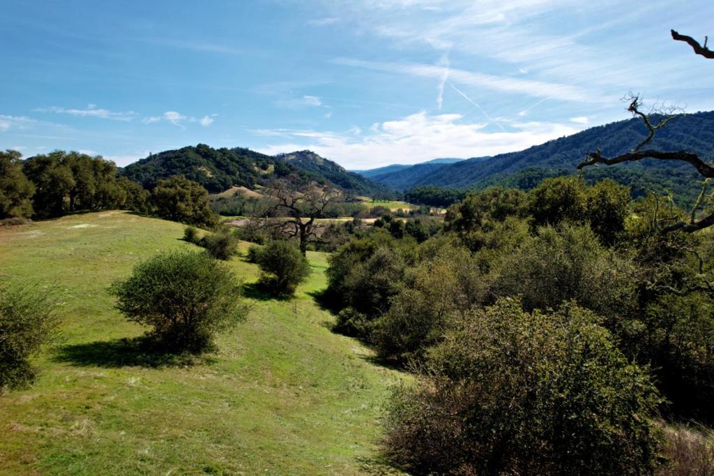 MLS #ML81995760 image #7