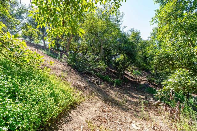 0 Wilt Road, Fallbrook CA: https://media.crmls.org/mediaz/939b468a-aaa9-40bb-a84e-81d0d2e6d5c4.jpg
