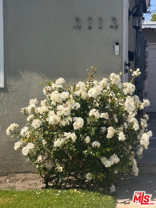 3113 W 36th Street, Los Angeles CA: https://media.crmls.org/mediaz/939d0f33-92a6-4a56-951f-1309c9a9652b.jpg