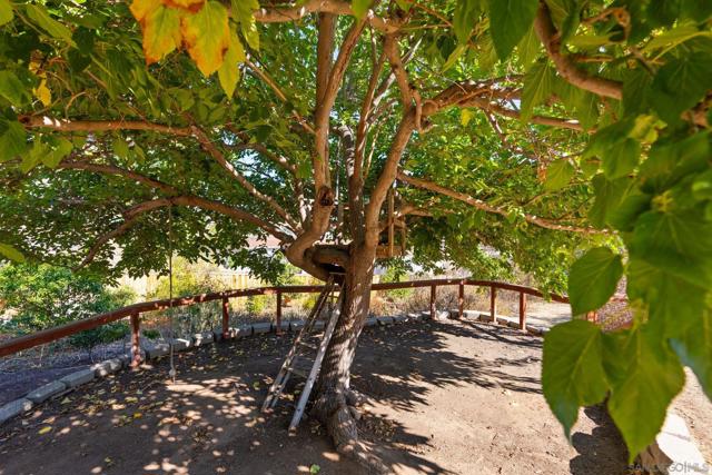 4311 Elma Ln, La Mesa, California 91942, 3 Bedrooms Bedrooms, ,2 BathroomsBathrooms,Single Family Residence,For Sale,Elma Ln,250038621SD