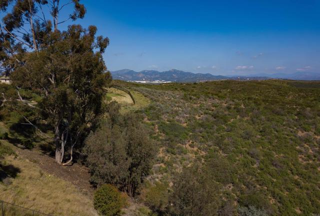 Detail Gallery Image 59 of 63 For 10737 Birch Bluff Ave, San Diego,  CA 92131 - 4 Beds | 3/1 Baths