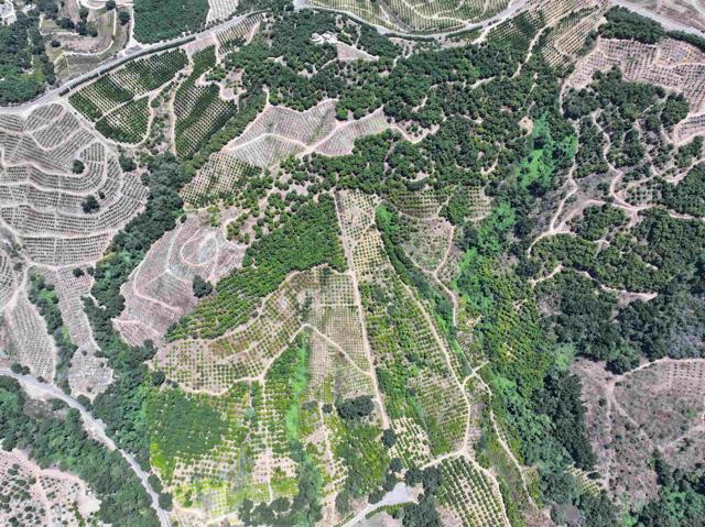 45711 Camaron Road, Temecula CA: https://media.crmls.org/mediaz/93ab5720-1513-4f56-8774-45742cceeb37.jpg