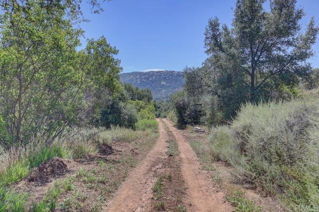 0 Camino Estribo, Temecula CA: https://media.crmls.org/mediaz/93ac0a02-cace-44c4-b557-5f239479d3d7.jpg