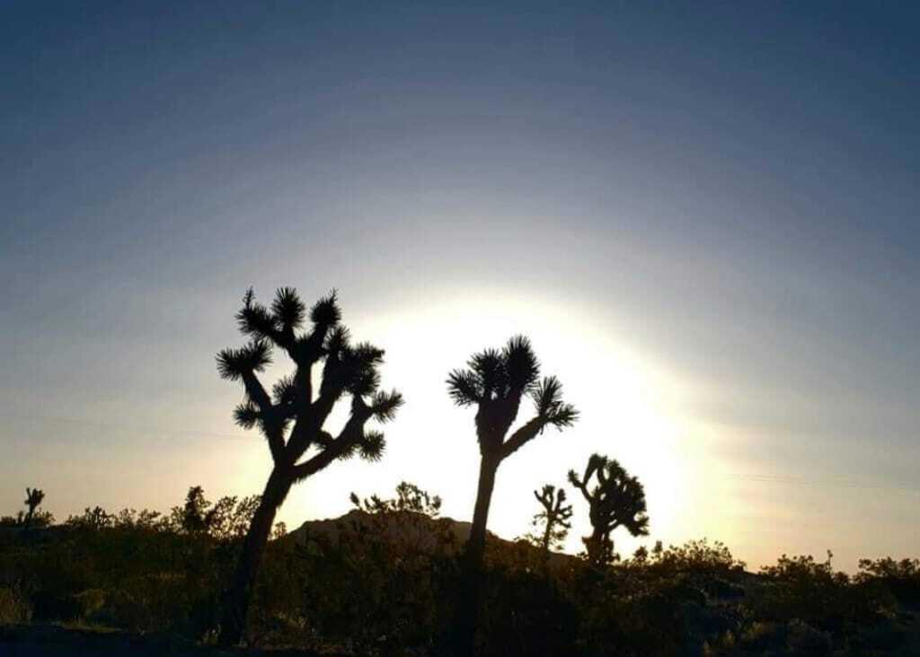 MLS #219138603PS image #29