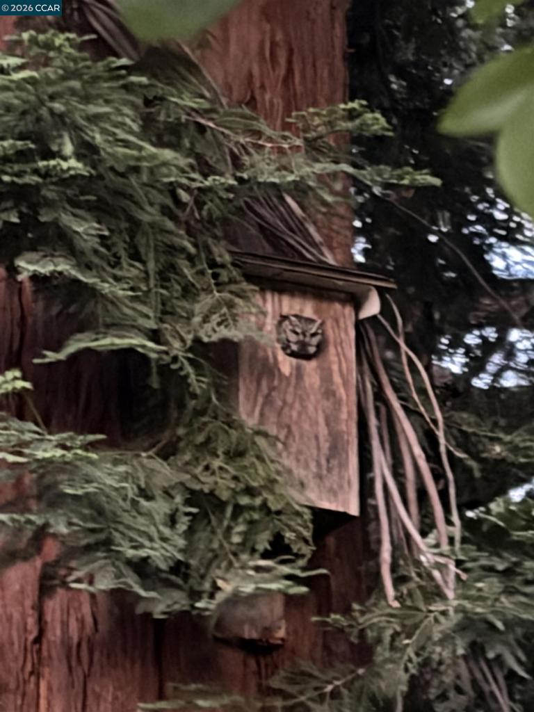 https://media.crmls.org/mediaz/93bb56c0-b37b-4038-be96-566a08b4febd.jpg?preset=X-Large