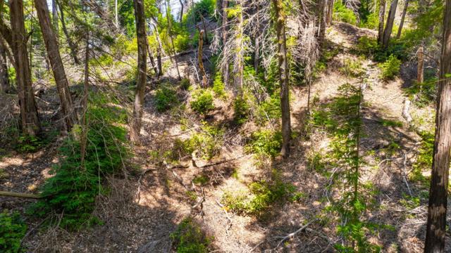 3 Bloom Grade, Boulder Creek CA: https://media.crmls.org/mediaz/93c23e34-26f2-4c1a-b66d-9a75988cf735.jpg