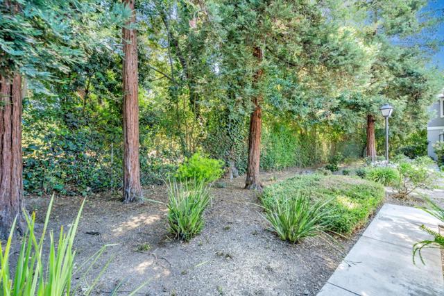 5022 Treaty Court, San Jose CA: https://media.crmls.org/mediaz/93ce6ccb-eea2-447c-890d-18963b774f63.jpg