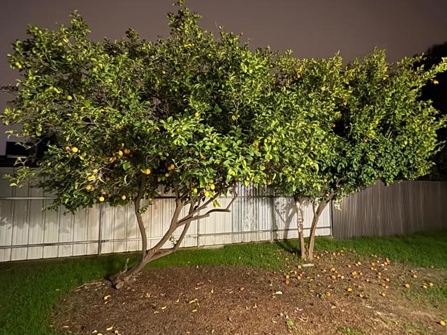 6042 Coad Lane, Riverbank CA: https://media.crmls.org/mediaz/93cf1268-daac-4b62-8dd8-ad6b81302bc8.jpg