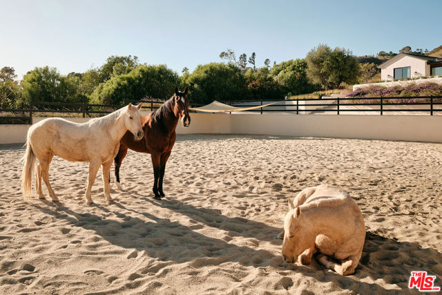 29685 Cuthbert Road, Malibu CA: https://media.crmls.org/mediaz/93d35128-b0a2-4789-a2c2-5e8589668e27.jpg