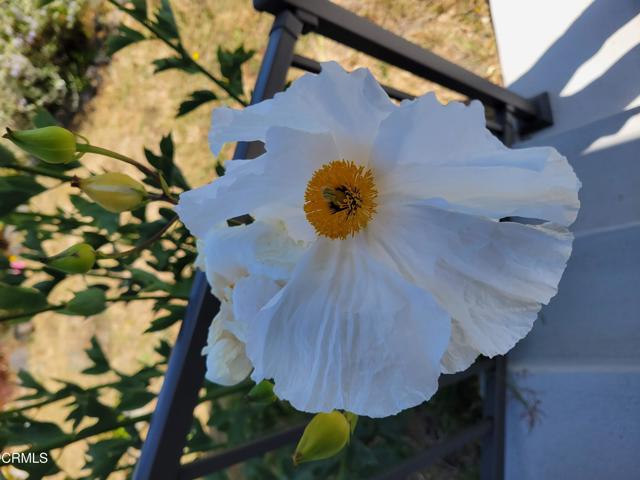 Detail Gallery Image 36 of 36 For 340 Main St, Point Arena,  CA 95468 - 2 Beds | 2 Baths