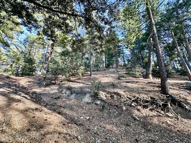 0 Green Craig, Idyllwild CA: https://media.crmls.org/mediaz/93dbd9b2-28d8-49a7-be10-2ea155eb24a8.jpg