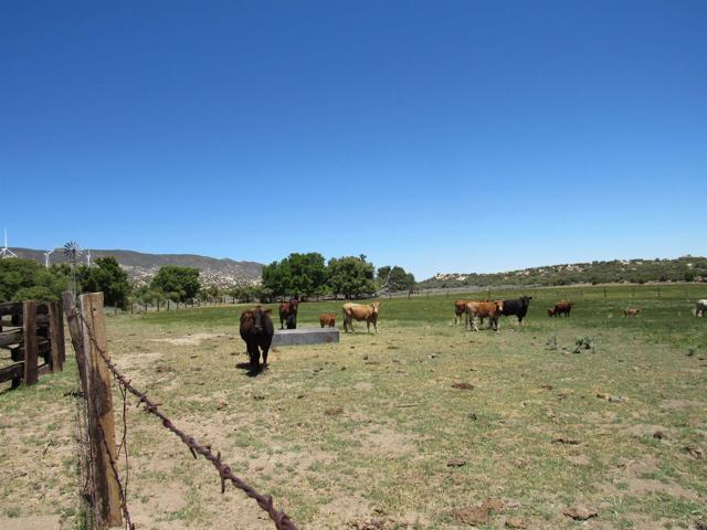 Detail Gallery Image 41 of 47 For 200 Acres Mccain Valley Rd, Boulevard,  CA 91905 - – Beds | – Baths