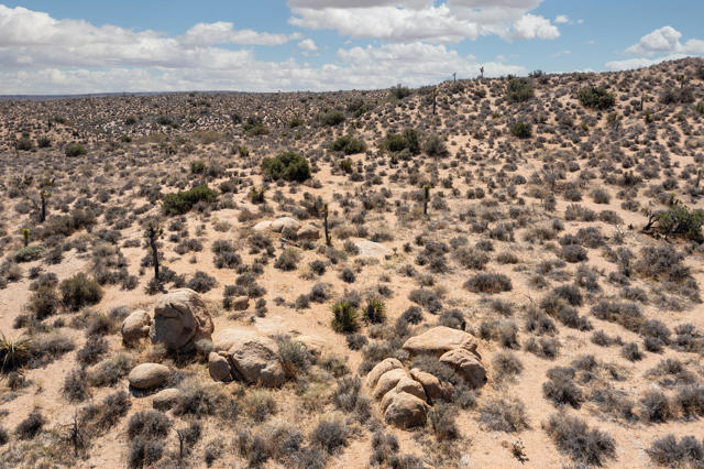 Image 19 of 26 For 101 Hondo Street