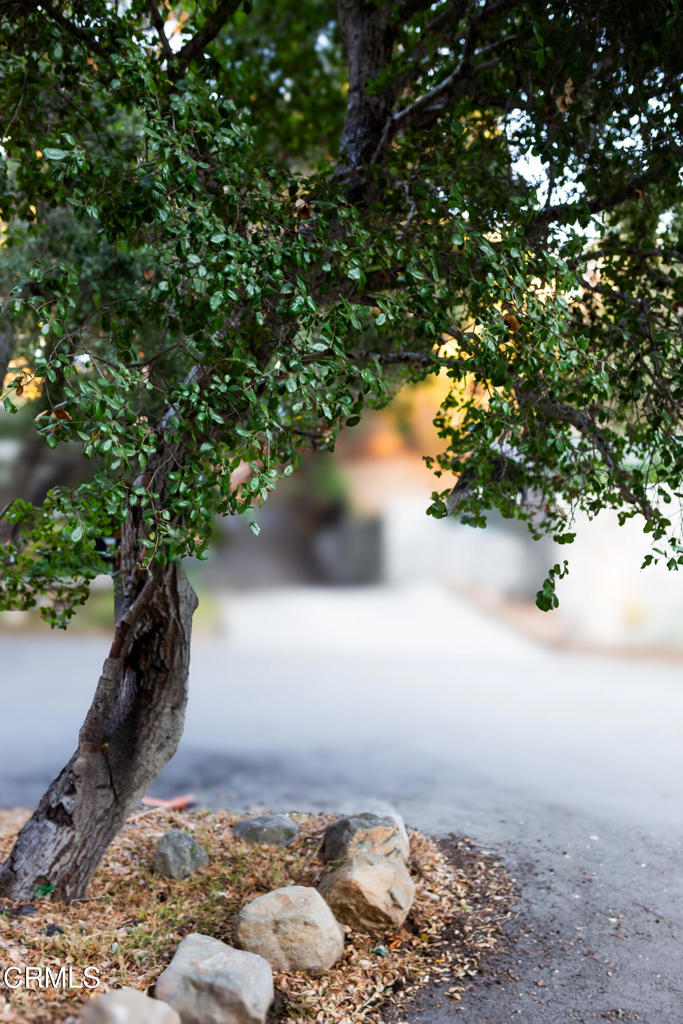 https://media.crmls.org/mediaz/93e67178-4d8b-44ed-bc00-8bc4cdac0c5e.jpg?preset=X-Large